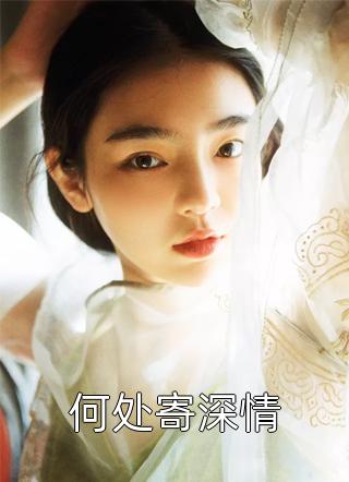 深夜遇清风，天亮说再见小说