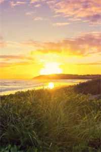 明明你也很爱我完结+番外