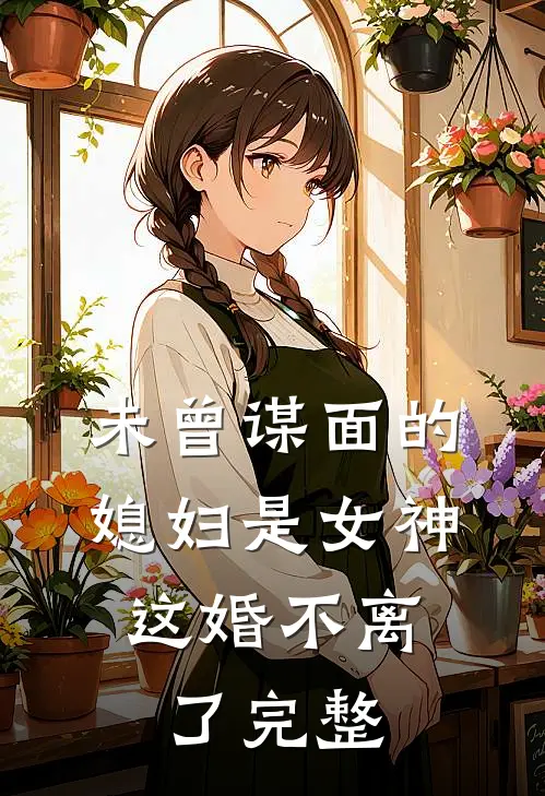 未曾谋面的媳妇是女神,这婚不离了完整免费阅读