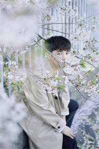 京北旧岁书完本