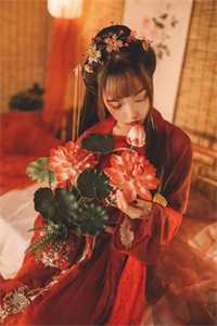 就像蝴蝶飞不过那座山在线阅读