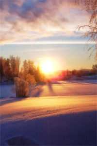 被爱困于孤岛后续+番外